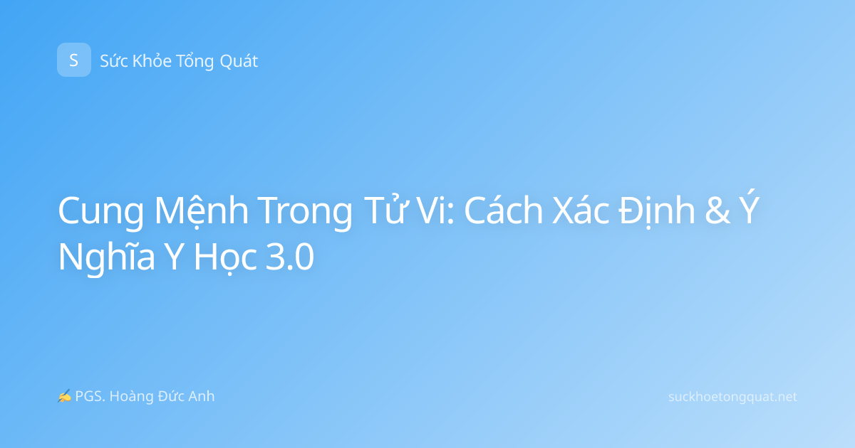 Cung Mệnh Trong Tử Vi: Cách Xác Định & Ý Nghĩa Y Học 3.0