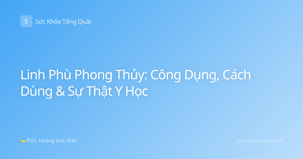 Linh Phù Phong Thủy: Công Dụng, Cách Dùng & Sự Thật Y Học